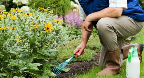 Tools used for trimming poplar hedges